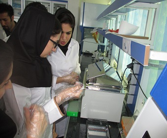 بهینه سازی و انجام واکنش های PCR